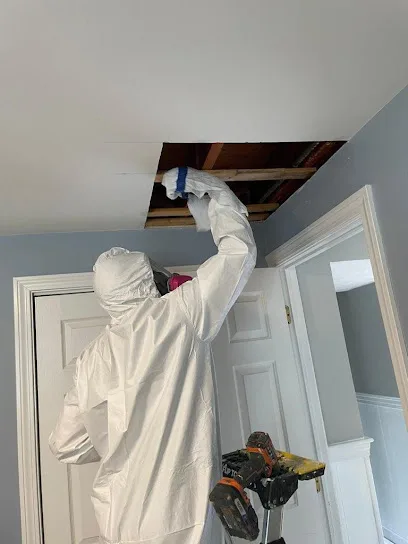A1 Water & Mold Removal MA photo