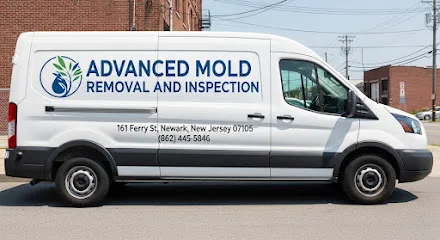 Advanced Mold Removal and Inspection photo