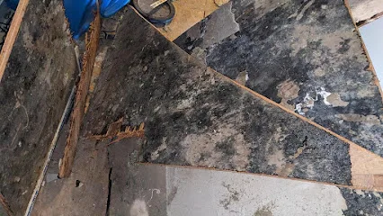 Affordable Mold Removal & Remodeling photo