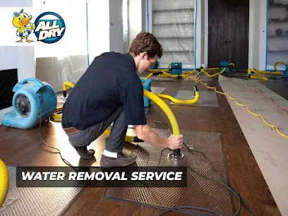All Dry Services photo