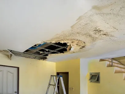 Anaheim Top Restoration Pros photo