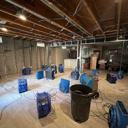 Astoria Mold removal repair photo