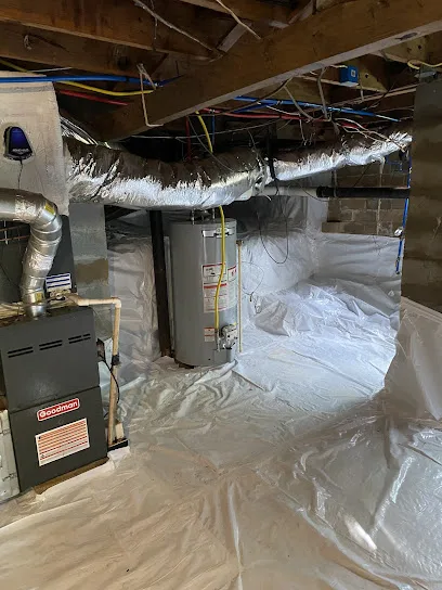 Atlanta Mold and cleaning LLC Mold Removal & Testing photo