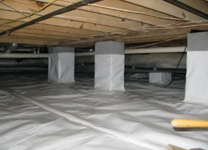 AuntieGen | Mold Removal in Milwaukee photo