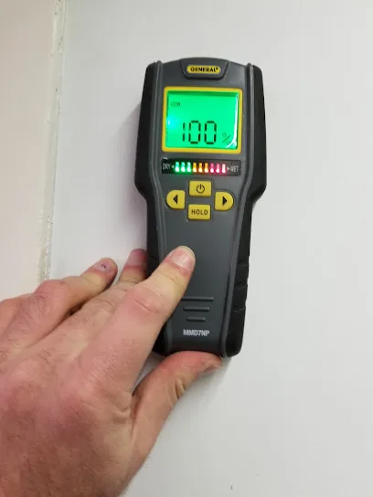BAS Mold Removal Long Island photo