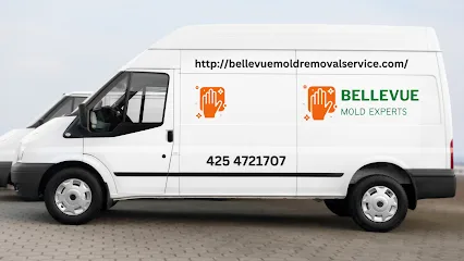 Bellevue Mold Experts photo