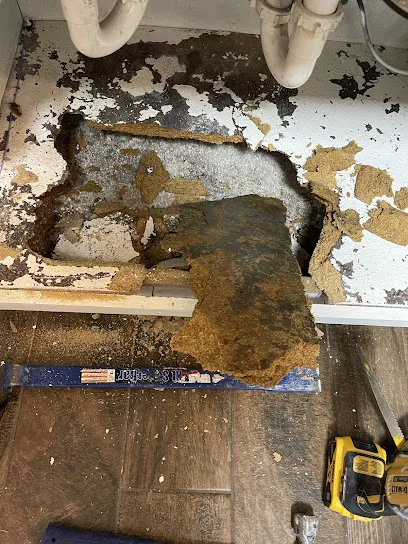 Best Mold Testing Services photo