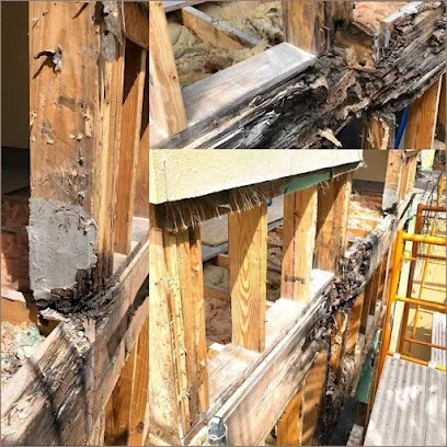 Blue Recovery Fire Water & Mold photo