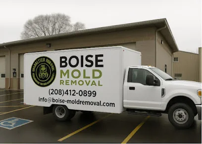 Boise Mold Removal photo