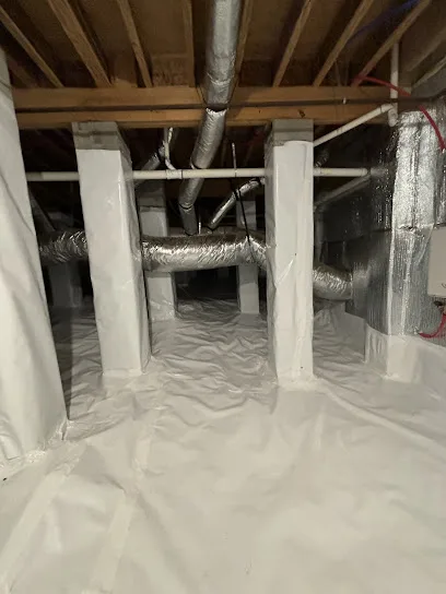 Breathe Easy Mold Remediation photo