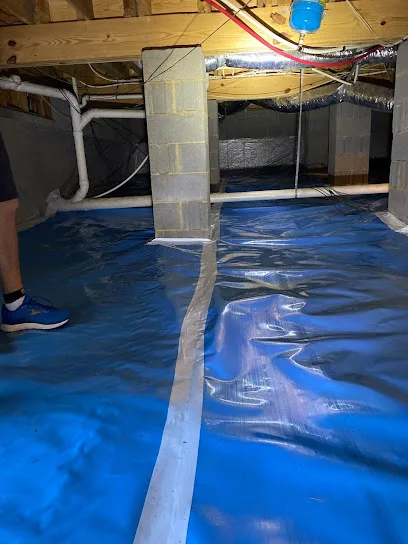 Carolina Mold Solutions LLC photo