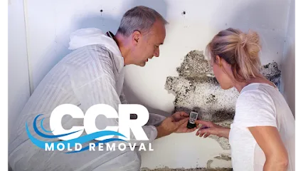 CCR Mold Removal photo