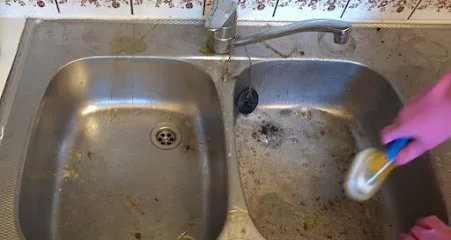 Certified Mold & Water Damage Restoration Of Tampa photo