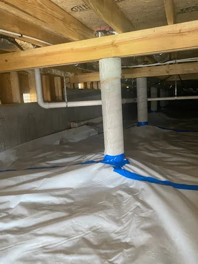 Certified Water and Mold Restoration - Springfield Mold + Water Damage Specialists photo