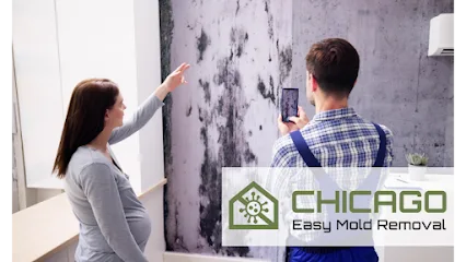 Chicago Easy Mold Removal photo