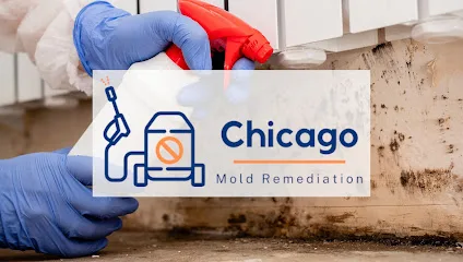 Chicago Mold Remediation photo