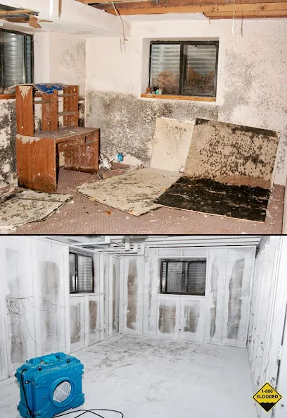 CMS Restoration photo
