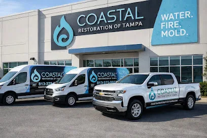 Coastal Restoration of Tampa photo