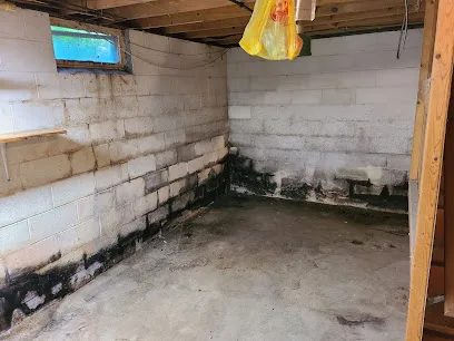 Comprehensive Mold Management, LLC