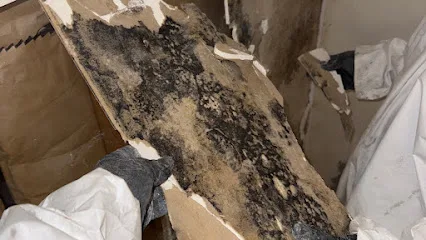 Daytona Restoration | Fire, Meth, Mold, Asbestos, Biohazard Cleanup photo
