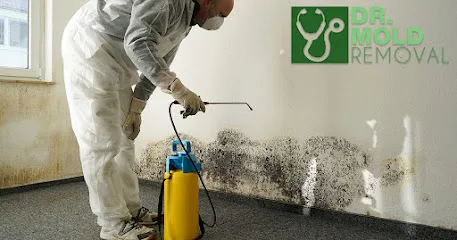 Dr Mold Removal photo
