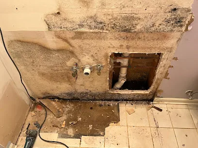 Dynamic Remediation Solutions Inc. photo