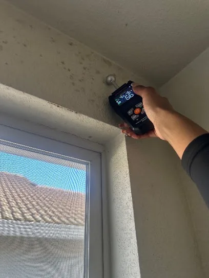 Fast Mold Testing - San Francisco Bay Area photo