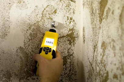 Florida Mold Masters of Southeast Jacksonville photo