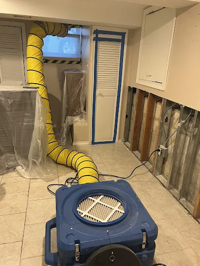Green Guard Mold Remediation of Commack photo