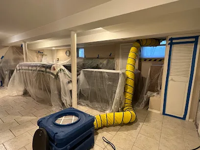 Green Guard Mold Specialist Elizabeth photo