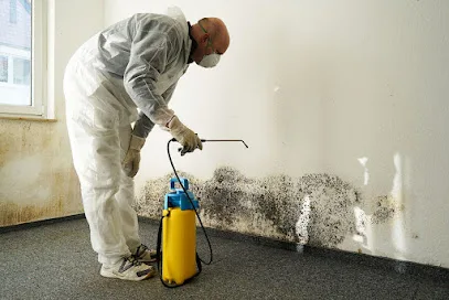 Handson Restorations photo