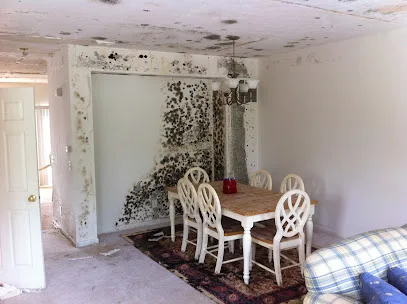 Indiana Mold Remediation photo