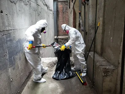 Las Vegas Mold Removal Testing and Inspection photo