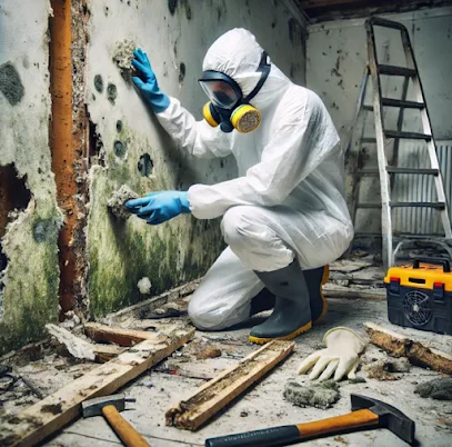 Long Beach CA Mold Removal Kings photo