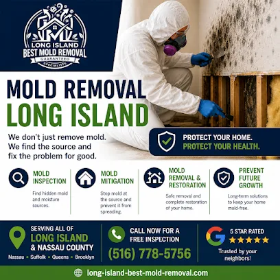 Long Island Best Mold Removal