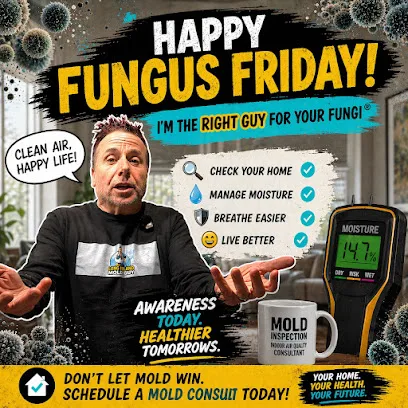 Long Island Mold Guy photo