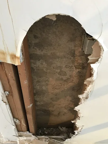 Long Island Mold Removal Pros photo