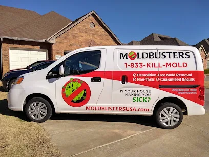 Mold Busters Fort Worth photo
