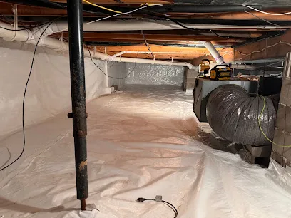 Mold Doctor Pros photo