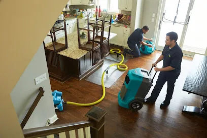 Mold Experts photo