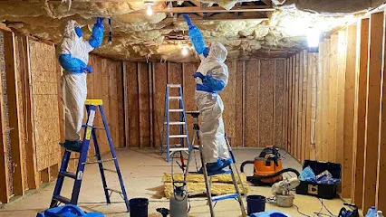 Mold Experts of Atlanta LLC photo