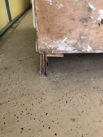 Mold Inspection Doctor photo