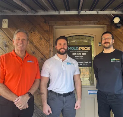 Mold Pros of Western PA photo