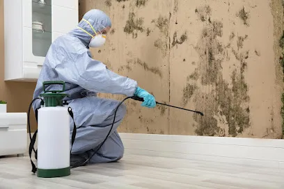 Mold Remediation of Orlando photo
