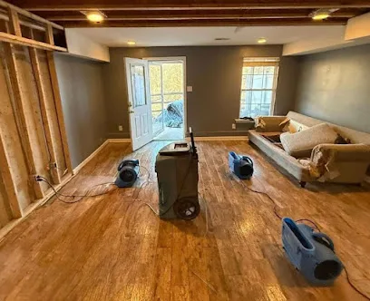 Mold Remediation Tampa Guys photo