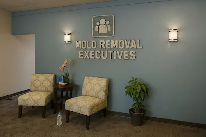 Mold Removal Executives - El Paso photo