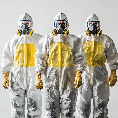 Mold Removal Hero photo