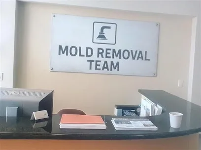 Mold Removal Team - Chicago photo