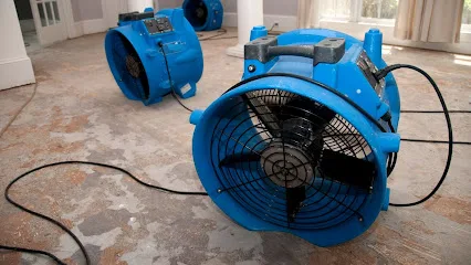 Mold Water Fire Damage Restoration photo