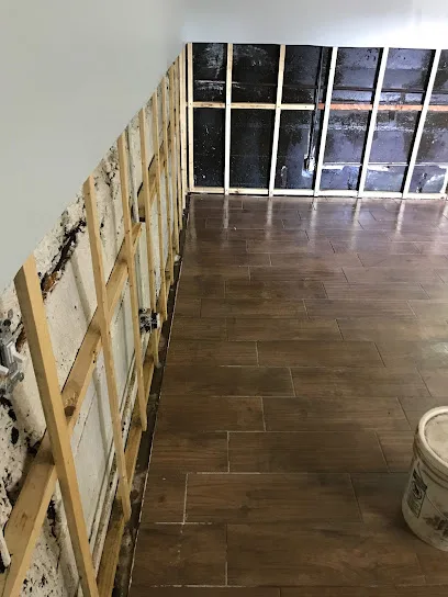MOLD911 - Midwest Mold Remediation, LLC photo